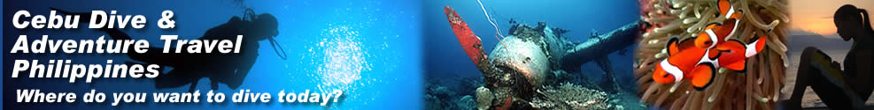 scuba diving philippines