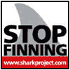 stop finning sharks