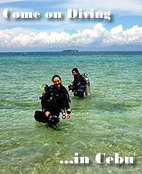 scuba diving in Cebu at Loves Beach & Dive Resort Moalboal