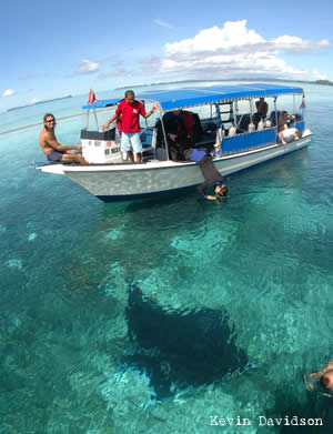 manta in palau