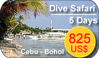 dive safaris philippines: cebu & bohol